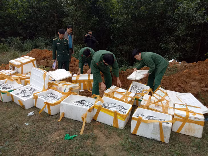 Lực lượng chức năng tiêu hủy toàn bộ số cá đông lạnh không rõ nguồn gốc thu giữ.