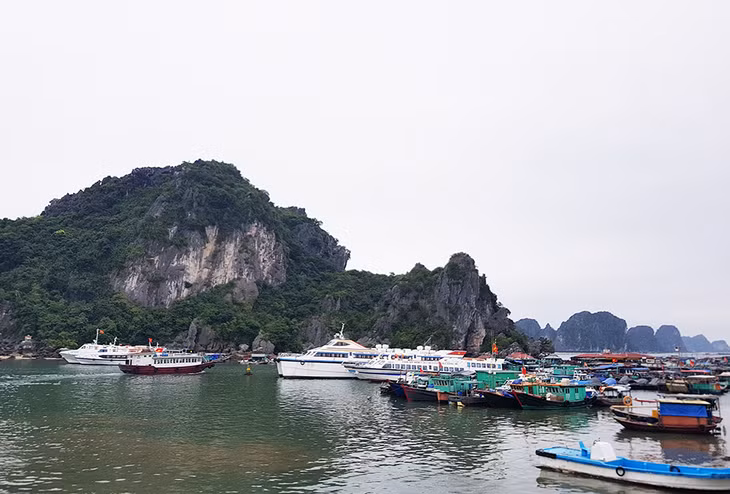 Tàu dịch vụ, du lịch tại Cảng tàu khách Cái Rồng, huyện Vân Đồn.