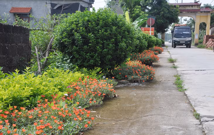 Tuyến đường kiểu mẫu tại xã Tân Việt, TX Đông Triều.