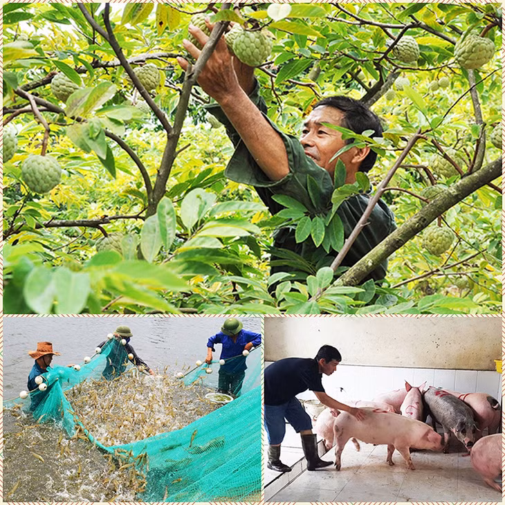 Năm qua mô hình na Đông Triều ứng dụng quy trình sản xuất VietGAP; mô hình nuôi tôm công nghiệp tại Móng Cái cho doanh thu cao; các hộ dân đã tập trung tái đàn lợn