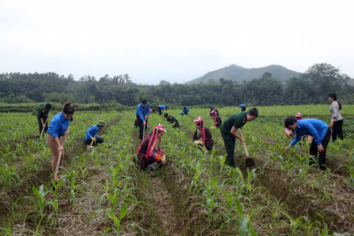 Đứng chân trên địa bàn xã biên giới Bắc Sơn, Đồn Biên phòng Bắc Sơn luôn chung sức cùng nhân dân trong phát triển kinh tế-xã hội. Cán bộ, chiến sỹ của đơn vị thường xuyên hướng dẫn nhân dân trong các mô hình phát triển kinh tế, vệ sinh môi trường, thực hiện nếp ăn ở hợp vệ sinh.
