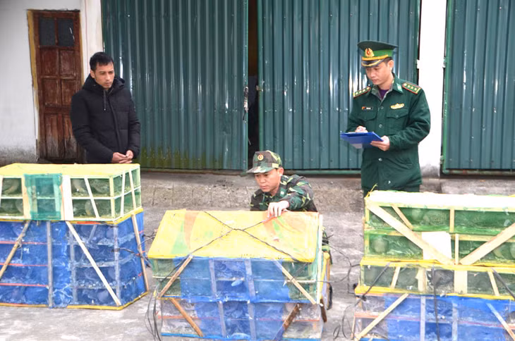 Lê Đình Sáng (áo đen) cùng tang vật tại Đồn BP Hải Hòa.