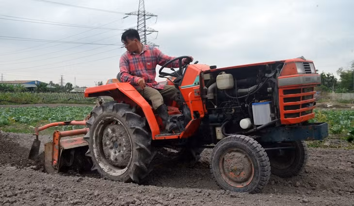 Loại bỏ HTX yếu kém sẽ tạo cơ hội cho các HTX có đủ năng lực để đầu tư sản xuất đem lại lợi nhuận thu nhập cho thành viên. (Ảnh: Mô hình sản xuất rau an toàn tại HTX Nông nghiệp Hương Việt, TP Uông Bí)