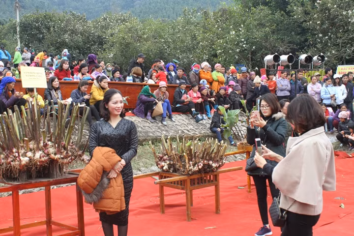 Du khách dự Hội hoa sở Bình Liêu năm 2018.