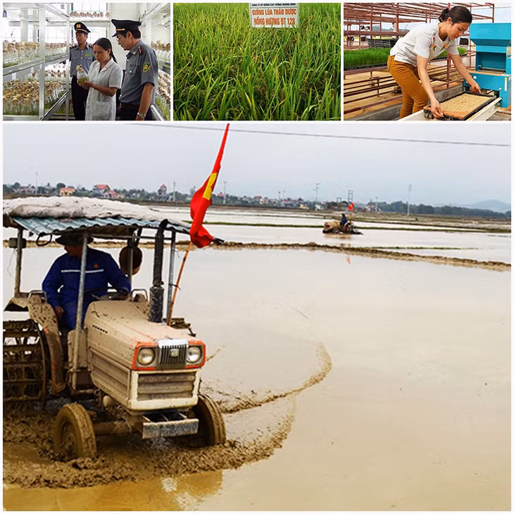 Để nâng cao giá trị, sản xuất nông nghiệp ứng dụng các công nghệ tiến tiến, máy nông nghiệp trên đồng ruộng