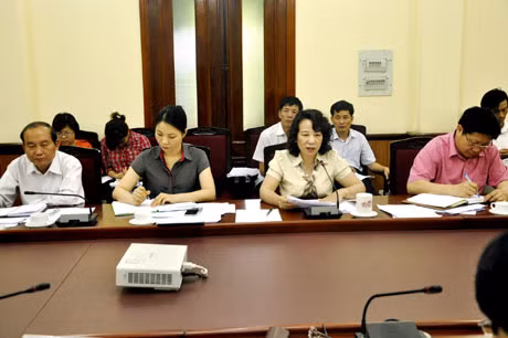 Đồng chí Vũ Thị Thu Thuỷ, Phó Chủ tịch UBND tỉnh phát biểu tại buổi làm việc.
