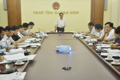 Đồng chí Đỗ Thông, Phó Chủ tịch Thường trực UBND tỉnh phát biểu kết luận hội nghị. 