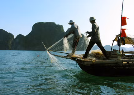 Đánh bắt cá trên Vịnh Hạ Long. (Ảnh minh họa)