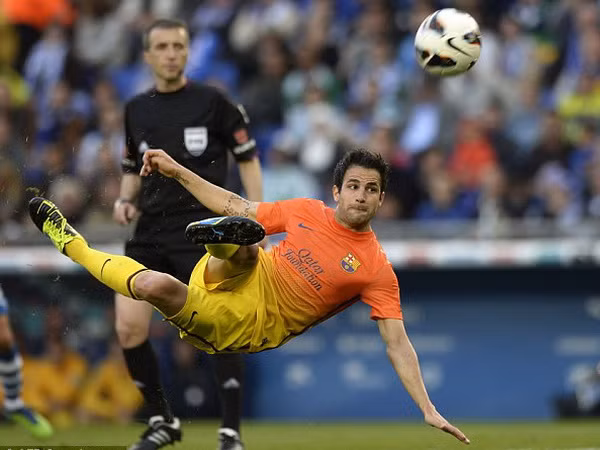 Cesc Fabregas - ảnh Getty