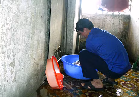 Tuy nhiên, họ đã cho người lao động các nơi thuê lại với giá từ 500.000-1.000.000 đồng/tháng.