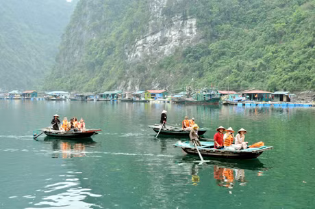Đưa khách du lịch tham quan các làng chài bằng thuyền nan là cách làm khởi nguồn từ Công ty CP Du thuyền Đông Dương.