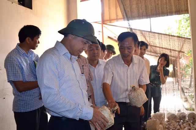 Đồng chí Phó Chủ tịch UBND tỉnh Đặng Huy hậu kiểm tra mô hình sản xuất năm ăn tại Công ty TNHH Long Hải