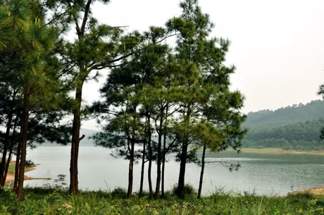 bên dưới là hồ nước trong xanh với những đảo đất nhấp nhô trên mặt nước sẽ đem đến cho du khách những trải nghiệm vô cùng thích thú.