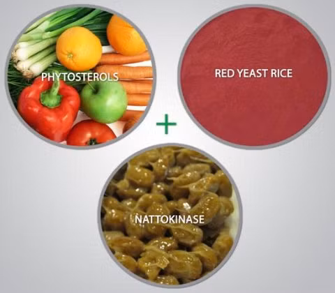 Tinh chất tự nhiên Phytosterols, Red Yeast Rice, Nattokinase có trong Hebes giúp giảm cholesterol, ngừa đột quỵ.