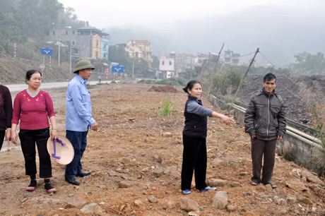 Dự án khu dịch vụ hậu cần cảng Cái Lân đã thu hồi xong đất nhưng chủ đầu tư chưa đền bù cho dân.