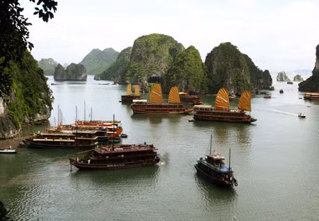 Khu vực hang Sửng Sốt là một trong những điểm có mật độ tàu du lịch đưa khách đến nhiều.