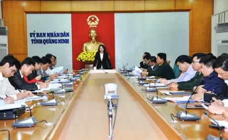 Đồng chí Vũ Thị Thu Thủy, Phó Chủ tịch UBND tỉnh kết luận cuộc họp.