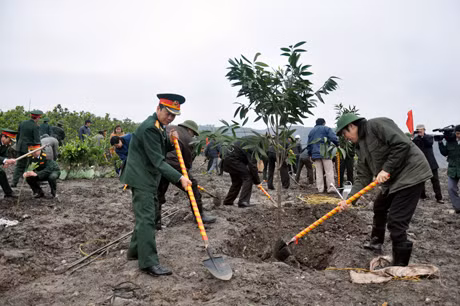 Lãnh đạo TP Cẩm Phả tham gia trồng cây hoàn nguyên môi trường.