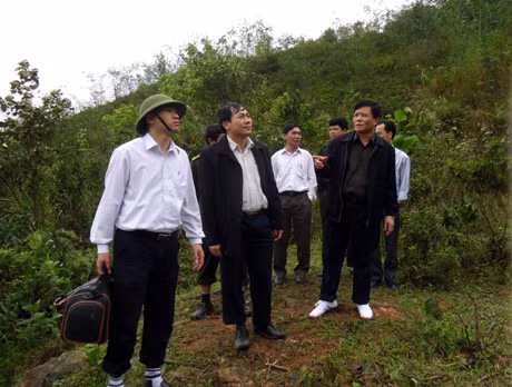 Đoàn giám sát đi kiểm tra thực địa diện tích rừng trồng măng tre xuất khẩu của Công ty CP đầu tư và phát triển kinh tế trang trại thủy hải sản Thành Tín tại xã Hải Lạng, Tiên Yê