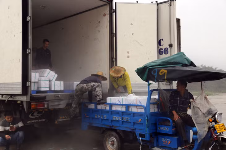 Các doanh nghiệp Việt Nam và Trung Quốc XNK hàng hóa tại Cửa khẩu Bắc Phong Sinh, xã Quảng Đức, huyện Hải Hà.