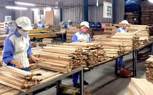 Ngành gỗ Việt Nam có bước tăng trưởng ngoạn mục năm vừa qua. (Ảnh minh họa: KT)