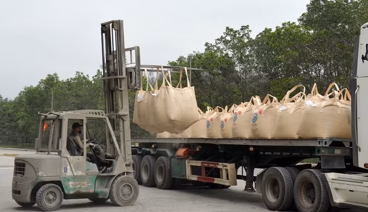 Ngay đầu năm Công ty đã xuất 40.000 tấn xi măng đi thị trường Philippin.