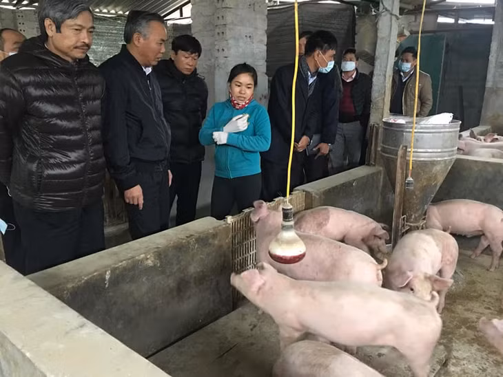 Thứ trưởng Phùng Đức Tiến kiểm tra việc chống dịch bệnh ở các tỉnh phía Bắc. Ảnh: Hữu Vinh.