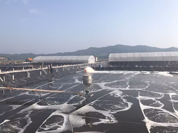 Phát triển các mô hình nuôi trồng thủy sản đang được huyện Tiên Yên đầu tư tích cực 