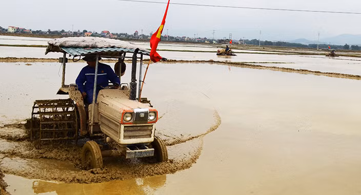 Nông dân TX Đông triều chuẩn bị diện sản xuất nông nghiệp đầu năm