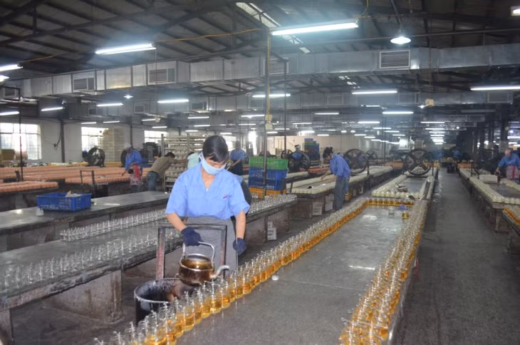 Rất nhiều công nhân trong KCN Cái Lân mong mỏi các thiết chế văn hóa, xã hội trong KCN.