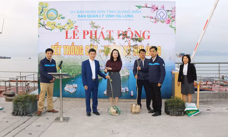 Lãnh đạo Ban Quản lý vịnh Hạ Long giao cây giống cho đại diện các đơn vị trong Ban