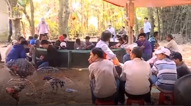Hàng chục người tham gia đánh bạc dưới hình thức đá gà tại khu vườn nhà ông Đô trưa mùng 8 Tết. Ảnh: T.Su.
