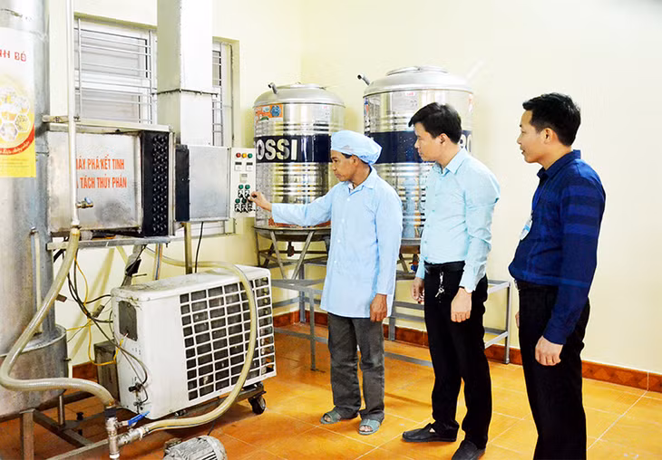 Trong giai đoạn 2008-2018, Hoành Bồ hình thành 