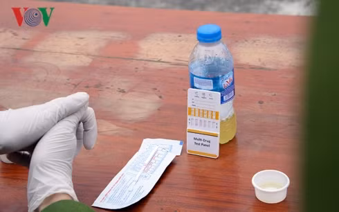 Mẫu nước tiểu của các tài xế khi test.