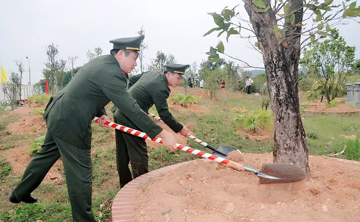 Kiểm lâm TX Đông Triều trồng cây xanh đầu năm