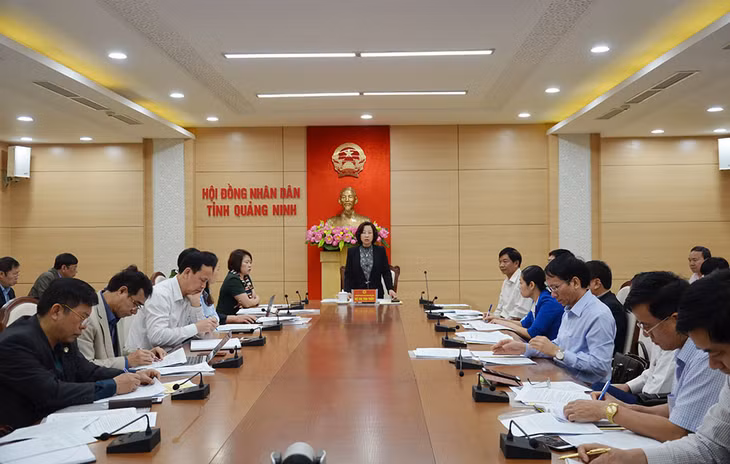 Đồng chí Vũ Thị Thu Thủy, Phó Chủ tịch UBND tỉnh phát biểu tại hội nghị