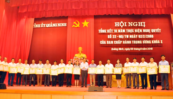 21 Đảng bộ cơ sở được Ban Chấp hành Đảng bộ tỉnh tặng Bằng khen vì đã có thành tích xuất sắc trong 10 năm thực hiện Nghị quyết số 22-NQ/TW.