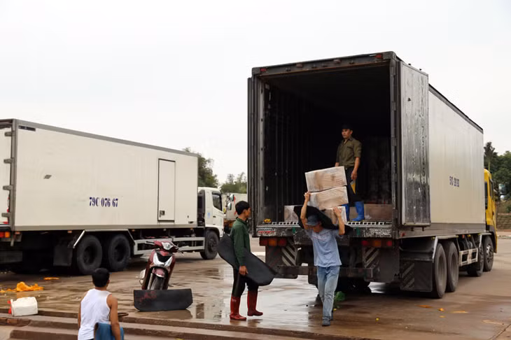 Trong 2 ngày mùng 10 và 11/2, có hàng chục conteiner hàng hoa quả, thủy sản đông lạnh xuất khẩu tại Cảng ICD Thành Đạt, phường Hải Yên, Móng Cái.