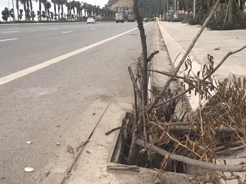 Để đảm bảo ATGT, người dân phải cắm cành cây để cảnh báo cho người tham gia giao thông 