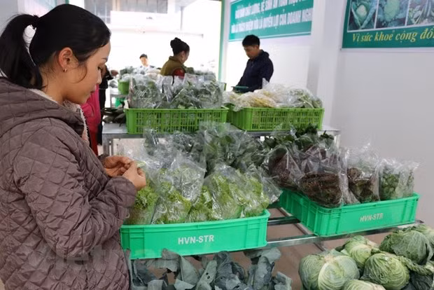 Tháng Hai, mặc dù vào dịp Tết Nguyên đán song doanh thu bán lẻ và dịch vụ đạt 390.800 tỷ đồng và giảm 3% so với tháng Một. (Ảnh: PV/Vietnam+)