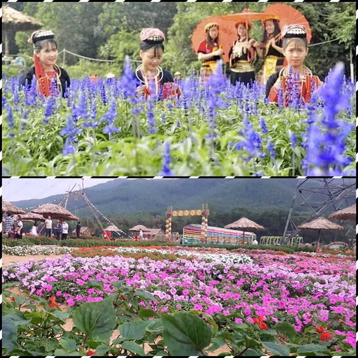 Thung lũng hoa Yên Tử với nhiều loại hoa đẹp đã thu hút đông đảo nhân dân trên địa bàn và du khách gần xa đến thưởng ngoạn