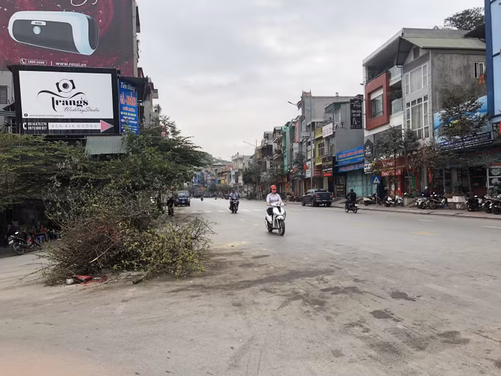Sau Tết Nguyên đán, đào quất cũng chất đống ngoài đường khiến cho tầm nhìn tham gia giao thông bị hạn chế là nguyên nhân dẫn tới những vụ tai nạn giao thông đáng tiếc.
