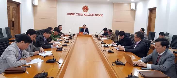 UBND tỉnh họp khấn phòng chống bệnh tả lợn Châu Phi