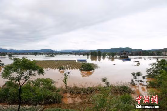 Mưa lũ còn tiếp tục diễn biến phức tạp ở khu vực miền Nam Trung Quốc. (Ảnh: Chinanews).