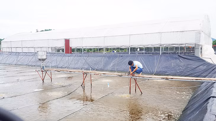 Vì không tuyển được lao động kỹ thuật nên anh Vũ Đình Chiến, Phó Giám đốc Công ty TNHH thực phẩm Phúc Quang vừa là nhà đầu tư vừa đảm bảo khâu kỹ thuật