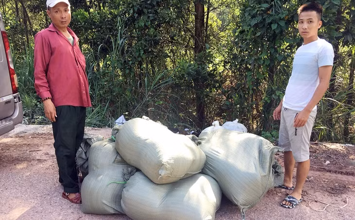 Số cá trê giống nhập lậu do Công an huyện Đầm Hà bắt giữ (Ảnh: Thân Hiếu-CAĐH).