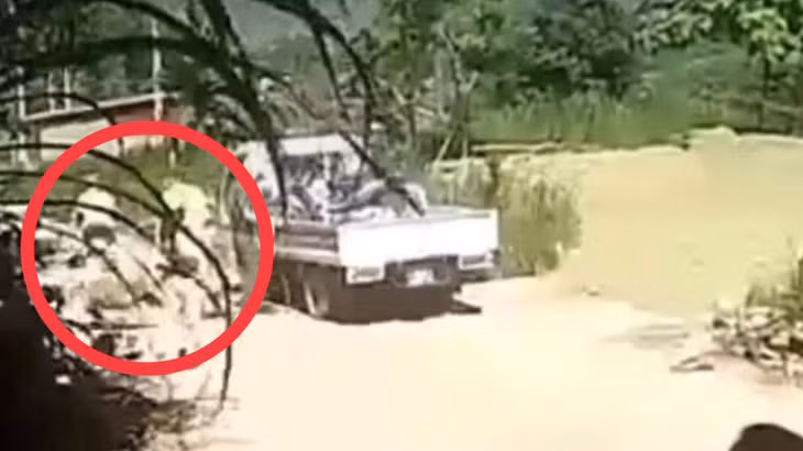  Ảnh cắt từ clip.
