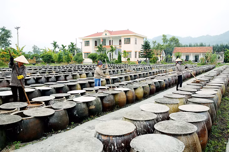 Công ty CP chế biến thủy sản Cái Rồng có địa điểm mới tại thôn Tràng Hương, xã Đoàn Kết nhưng địa điểm này chưa