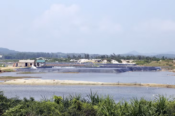 ...và những ao, đầm nuôi trồng thủy sản được đầu tư bài bản.