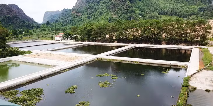 Nước rỉ rác toàn bộ khu vực chông lấp được gom về các bể lắng